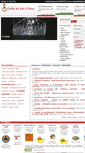 Mobile Screenshot of comune.colle-di-val-d-elsa.si.it